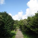 제주 올레길 5코스 이미지