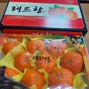 제주우다 네이버블로그