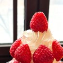 동두천로 | 순수요거생딸기설빙 인절미토스트 칼로리 가격 내돈내산 후기