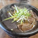 시골뜰해장국 | 포천 밥집 추천 깊은 국물 맛에 반한 '포천 시골집 양평해장국' 솔직 방문 후기!