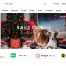 디지탈창신 이미지