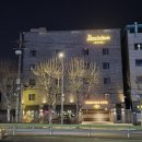 별을보는돔하우스 | 서울 신림역 비즈니스 호텔 추천_ 도미니크호텔 상세 숙박후기