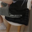 셀레어 릴리프 꼬리뼈 방석 도넛방석 후기