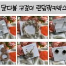 다봄뷰티 이미지