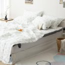 스프레드 이미지