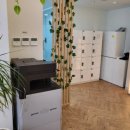 딱이야 오피스 이미지