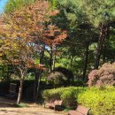 봉제산 오리나무쉼터 이미지