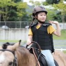 진흥목장 이미지