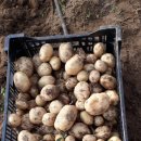 아린농장 이미지