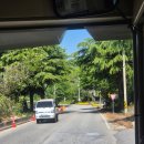 보성88마트 이미지