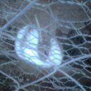 경북약업사 이미지