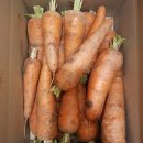 함평천지 | 농라 <함평천지> 유기농 당근 왕 5kg 후기