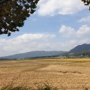 강진군동초등학교 이미지