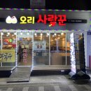 오리사랑꾼