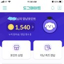 오늘의멍냥