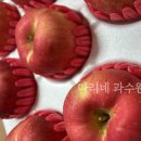 엔비에스라이프