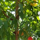 유완농장 이미지