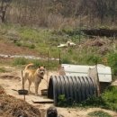 섬에온이유민박 이미지