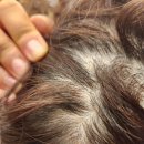 보라성모이비인후과의원 이미지