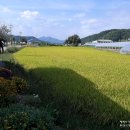 토마루농장 이미지