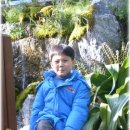 원앙태권도 이미지