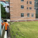 상일여자고등학교 이미지