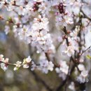 뱅디가름게스트하우스 이미지