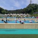 충효태권도호반