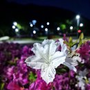 금남체육공원 이미지