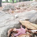 강화도전문공인중개사사무소 이미지