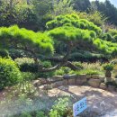 춘화농장 이미지