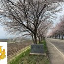 구룡면행정복지센터 이미지