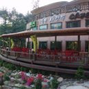 새싹의 아침 이미지