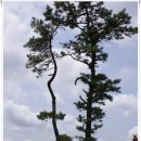 버스정류장 06-355 | [20120616]대전 계족산 임도 中 에코힐링 맨발코스(+계족산성) 따라 걷기 - 2부