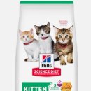 키튼코리아 이미지