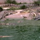 아란농장 이미지