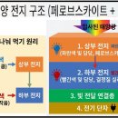 우주제1태양광발전소 | '페로브스카이트 텐덤셀' 우주 태양광 관련주