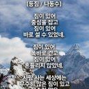 등짐 이미지