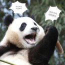 디자인필드 네이버블로그
