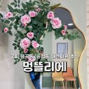 멍뜰리에 이미지