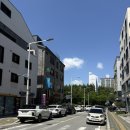 마전점기아오토큐 | 대전 관저동 미용실 란블라썸 염색 애쉬브라운 만족했던 이유