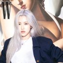 로제 이미지