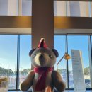 하비함미 이미지