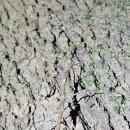 펀포레스트 이미지