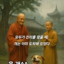 웃개 이미지