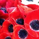 크린스마트 이미지