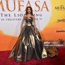 Mufasa The Lion King 이미지