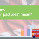 더 푸른 이미지