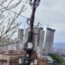 상화농장 이미지