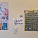 카페버니베어 네이버블로그